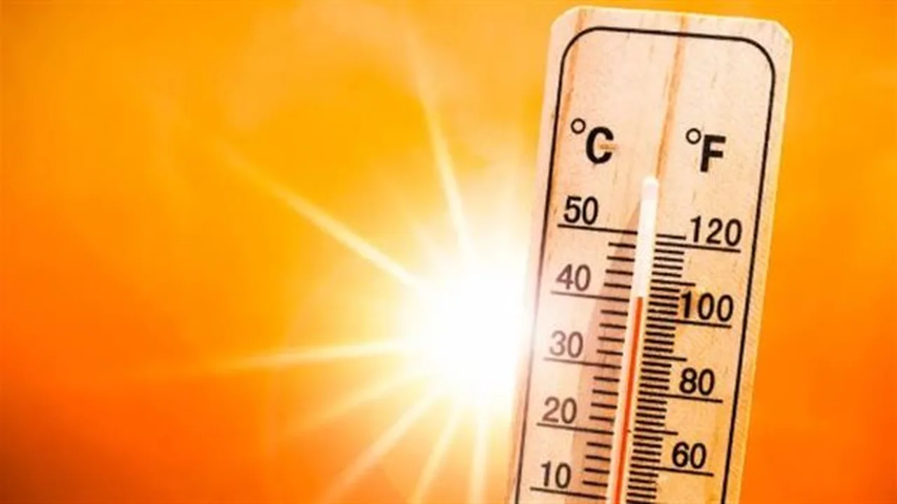 تحذير للمسافرين.. فجر الخميس موعد انعدام الرؤية على طريق الدمام الجبيل بسبب الضباب